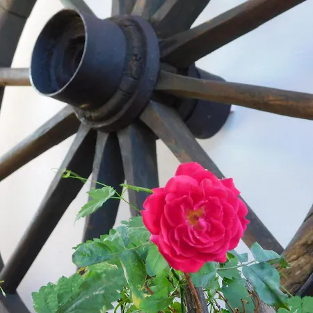 게스트하우스 Zaruby *