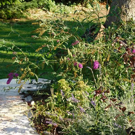 Zaruby * 스몰레니체