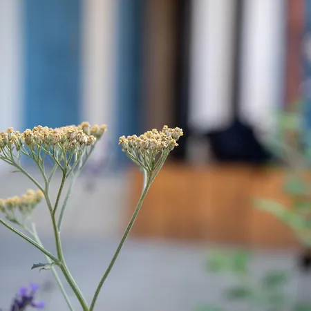 게스트하우스 Zaruby 스몰레니체